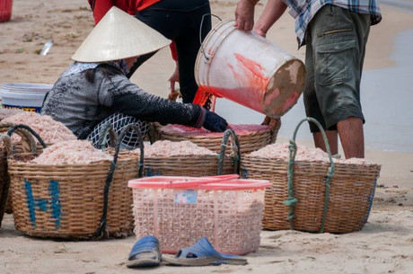 Siết chặt việc lạm dụng phẩm màu trong chế biến thực phẩm ảnh 1